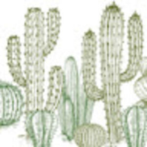 Meet your Posher, Clara